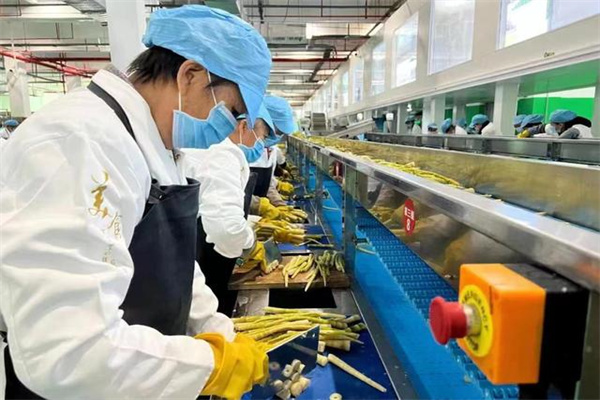 期货开户手续费哪家最低？