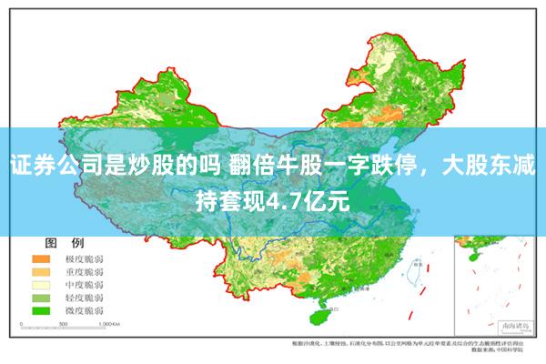 证券公司是炒股的吗 翻倍牛股一字跌停，大股东减持套现4.7亿元