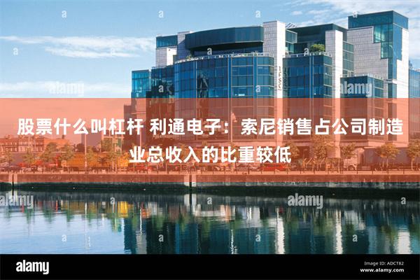 股票什么叫杠杆 利通电子：索尼销售占公司制造业总收入的比重较低
