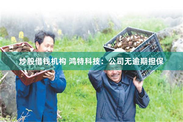 炒股借钱机构 鸿特科技：公司无逾期担保