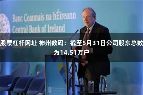 股票杠杆网址 神州数码：截至5月31日公司股东总数为14.51万户