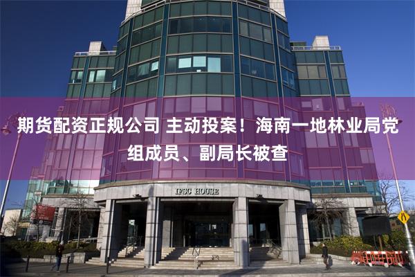 期货配资正规公司 主动投案！海南一地林业局党组成员、副局长被查