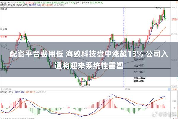 配资平台费用低 海致科技盘中涨超13% 公司入通将迎来系统性重塑
