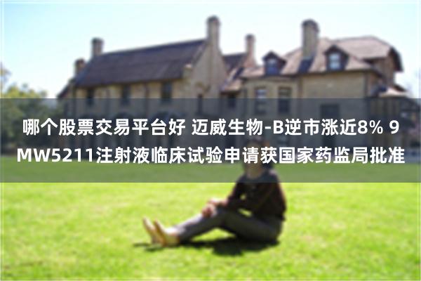 哪个股票交易平台好 迈威生物-B逆市涨近8% 9MW5211注射液临床试验申请获国家药监局批准