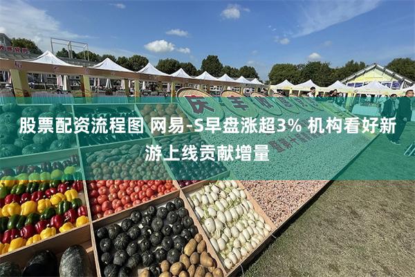 股票配资流程图 网易-S早盘涨超3% 机构看好新游上线贡献增量
