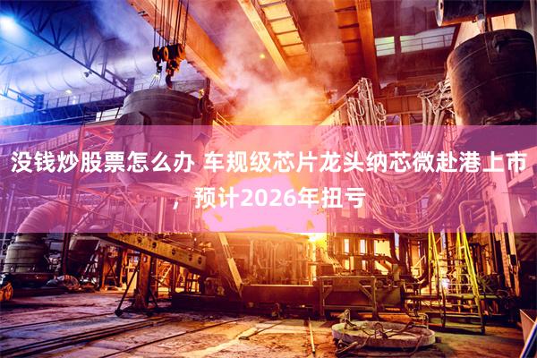 没钱炒股票怎么办 车规级芯片龙头纳芯微赴港上市,预计2026年扭亏
