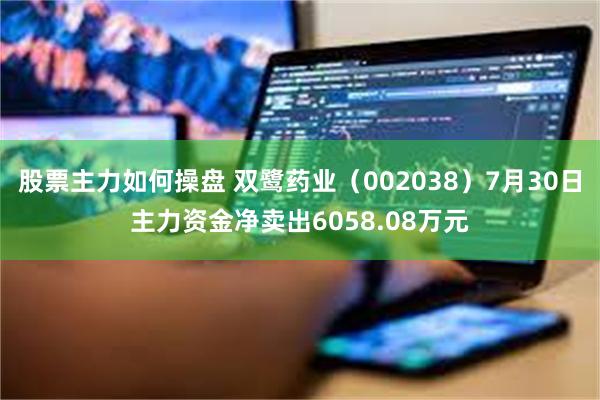 股票主力如何操盘 双鹭药业（002038）7月30日主力资金净卖出6058.08万元