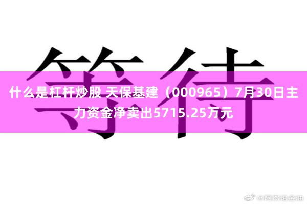 什么是杠杆炒股 天保基建（000965）7月30日主力资金净卖出5715.25万元