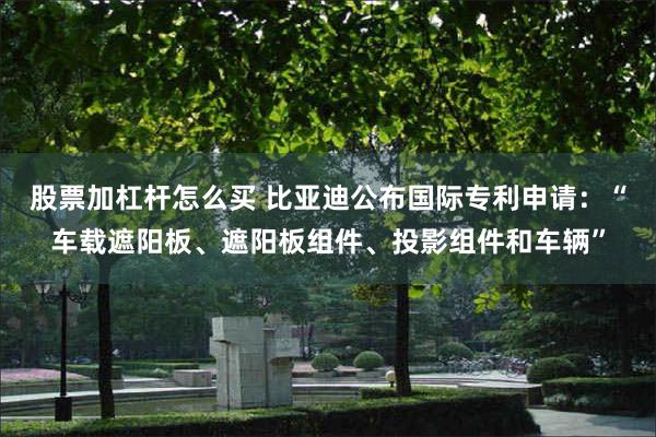 股票加杠杆怎么买 比亚迪公布国际专利申请：“车载遮阳板、遮阳板组件、投影组件和车辆”