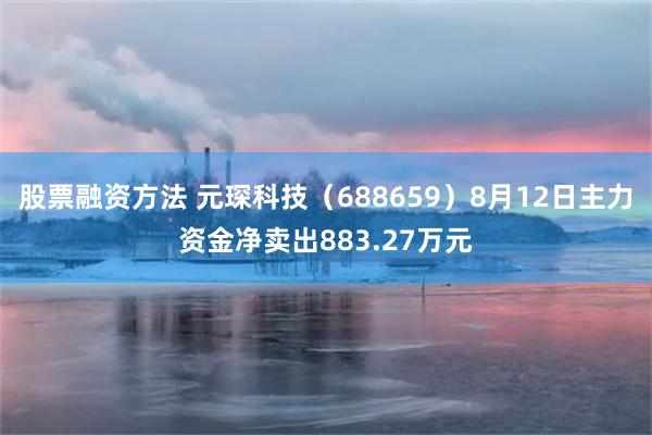 股票融资方法 元琛科技(688659)8月12日主力资金净卖出883.27万元
