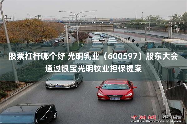 股票杠杆哪个好 光明乳业（600597）股东大会通过银宝光明牧业担保提案