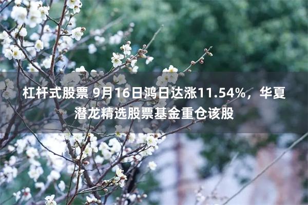 杠杆式股票 9月16日鸿日达涨11.54%,华夏潜龙精选股票基金重仓该股
