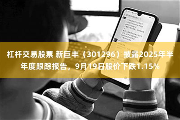 杠杆交易股票 新巨丰（301296）披露2025年半年度跟踪报告，9月19日股价下跌1.15%