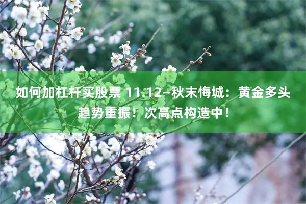 如何加杠杆买股票 11.12—秋末悔城：黄金多头趋势重振！次高点构造中！
