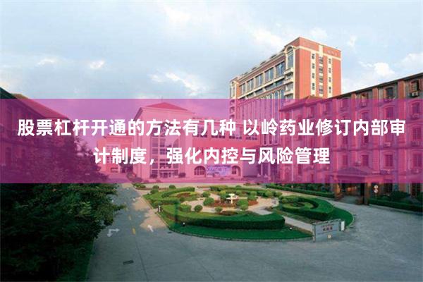 股票杠杆开通的方法有几种 以岭药业修订内部审计制度，强化内控与风险管理