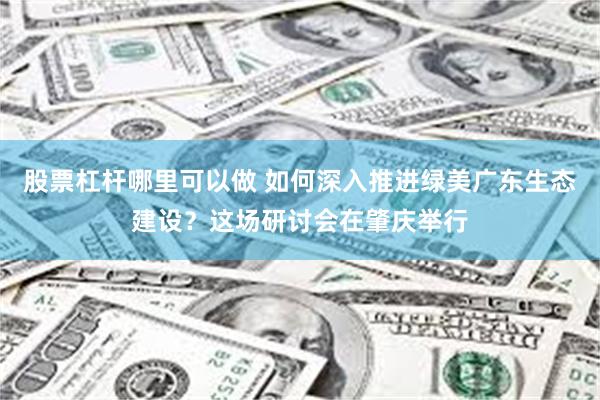 股票杠杆哪里可以做 如何深入推进绿美广东生态建设？这场研讨会在肇庆举行