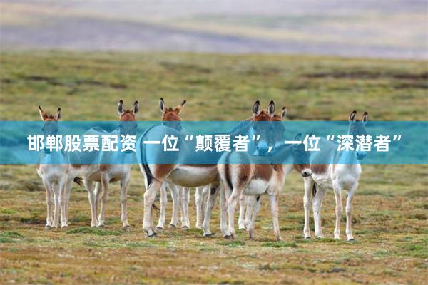 邯郸股票配资 一位“颠覆者”，一位“深潜者”