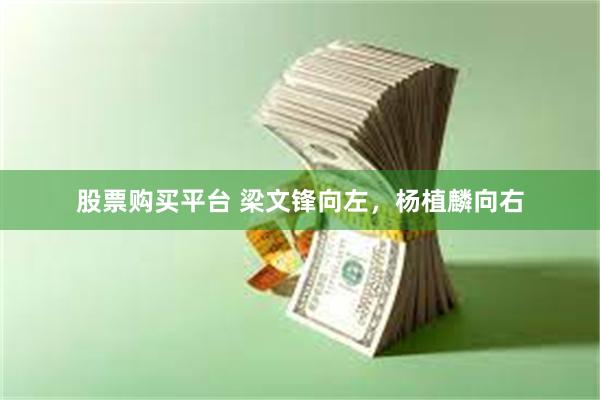 股票购买平台 梁文锋向左，杨植麟向右