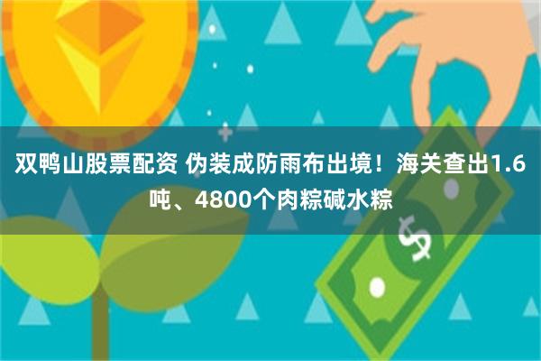 双鸭山股票配资 伪装成防雨布出境！海关查出1.6吨、4800个肉粽碱水粽