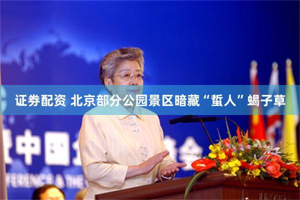 证劵配资 北京部分公园景区暗藏“蜇人”蝎子草