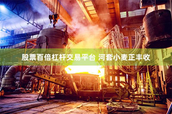 股票百倍杠杆交易平台 河套小麦正丰收