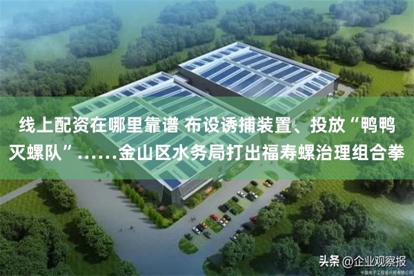 线上配资在哪里靠谱 布设诱捕装置、投放“鸭鸭灭螺队”……金山区水务局打出福寿螺治理组合拳