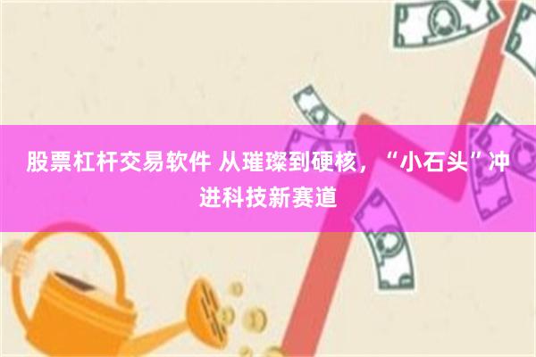 股票杠杆交易软件 从璀璨到硬核，“小石头”冲进科技新赛道