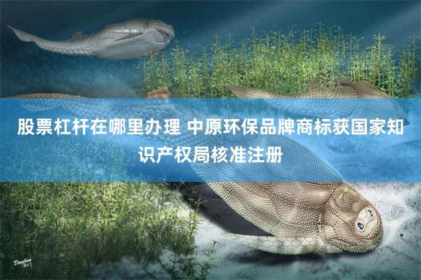 股票杠杆在哪里办理 中原环保品牌商标获国家知识产权局核准注册