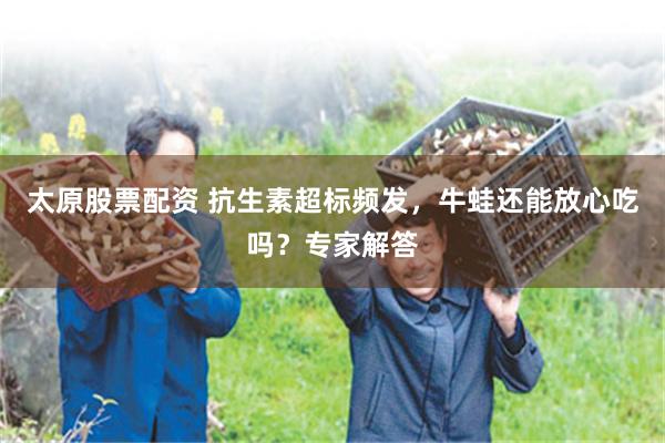 太原股票配资 抗生素超标频发,牛蛙还能放心吃吗?专家解答