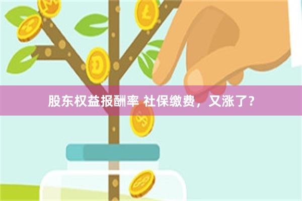 股东权益报酬率 社保缴费，又涨了？