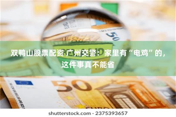 双鸭山股票配资 广州交警：家里有“电鸡”的，这件事真不能省