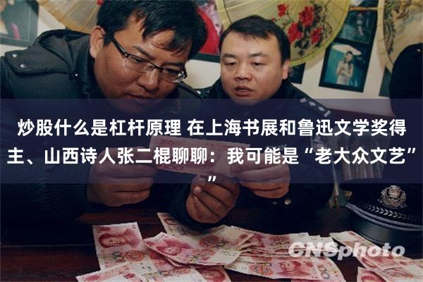 炒股什么是杠杆原理 在上海书展和鲁迅文学奖得主、山西诗人张二棍聊聊：我可能是“老大众文艺”