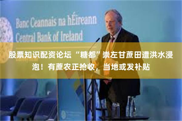 股票知识配资论坛 “糖都”崇左甘蔗田遭洪水浸泡！有蔗农正抢收，当地或发补贴