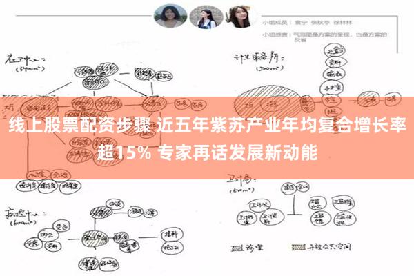 线上股票配资步骤 近五年紫苏产业年均复合增长率超15% 专家再话发展新动能