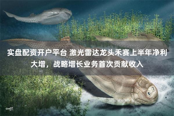 实盘配资开户平台 激光雷达龙头禾赛上半年净利大增，战略增长业务首次贡献收入