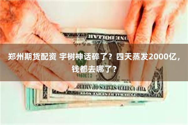 郑州期货配资 宇树神话碎了？四天蒸发2000亿，钱都去哪了？