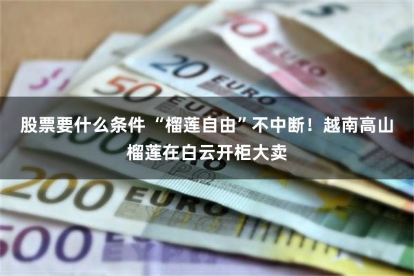 股票要什么条件 “榴莲自由”不中断！越南高山榴莲在白云开柜大卖