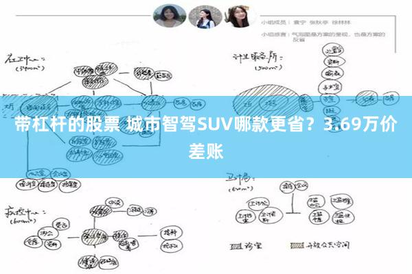 带杠杆的股票 城市智驾SUV哪款更省?3.69万价差账