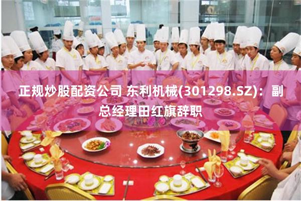 正规炒股配资公司 东利机械(301298.SZ)：副总经理田红旗辞职