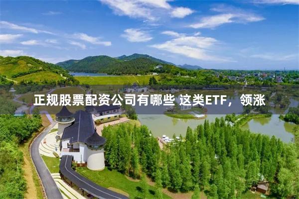 正规股票配资公司有哪些 这类ETF，领涨