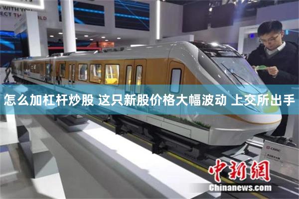 怎么加杠杆炒股 这只新股价格大幅波动 上交所出手