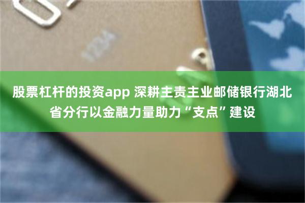 股票杠杆的投资app 深耕主责主业邮储银行湖北省分行以金融力量助力“支点”建设