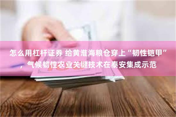 怎么用杠杆证券 给黄淮海粮仓穿上“韧性铠甲”,气候韧性农业关键技术在泰安集成示范