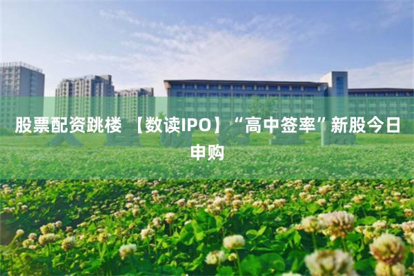 股票配资跳楼 【数读IPO】“高中签率”新股今日申购