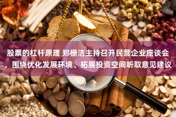 股票的杠杆原理 郑栅洁主持召开民营企业座谈会，围绕优化发展环境、拓展投资空间听取意见建议