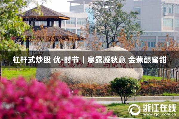 杠杆式炒股 优·时节|寒露凝秋意 金蕉酿蜜甜