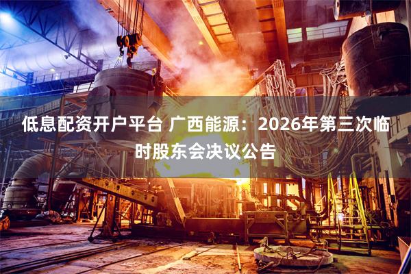 低息配资开户平台 广西能源：2026年第三次临时股东会决议公告