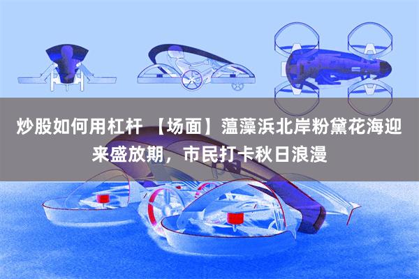 炒股如何用杠杆 【场面】蕰藻浜北岸粉黛花海迎来盛放期，市民打卡秋日浪漫